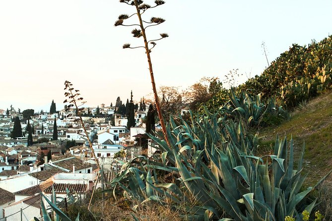 Granada: Albaicin and Sacromonte Private Tour - Calle Cruz de la Rauda and the meaning of place