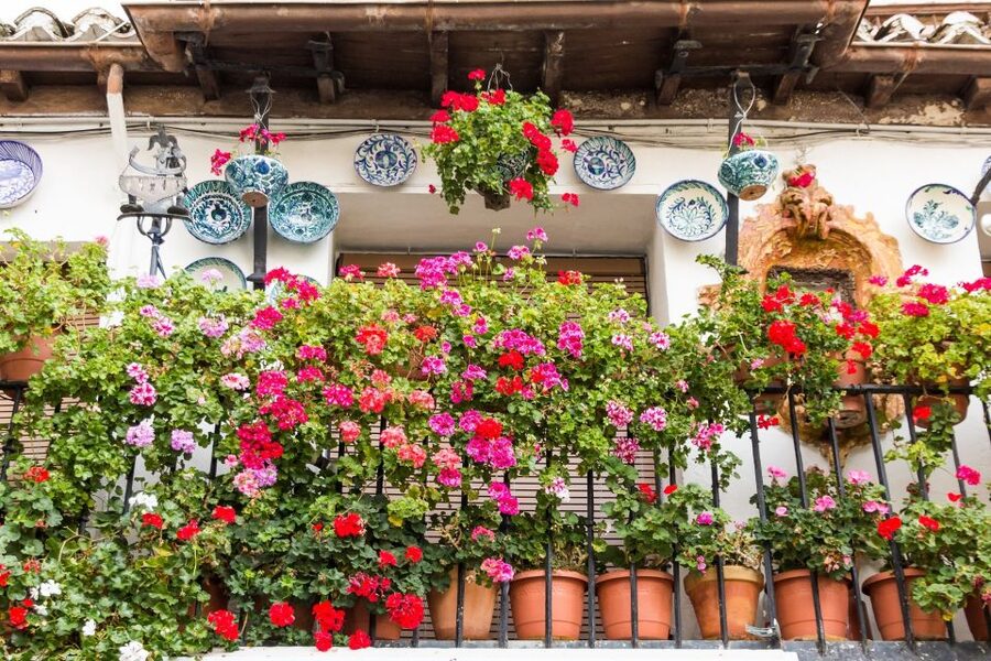 Granada: Albaicín and Sacromonte Walking Tour - Key points at a glance