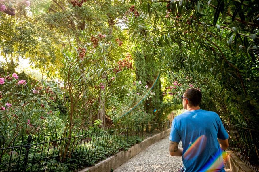 Granada: Alhambra Entry Ticket with Audio Guide - What the GPS audio guide really adds