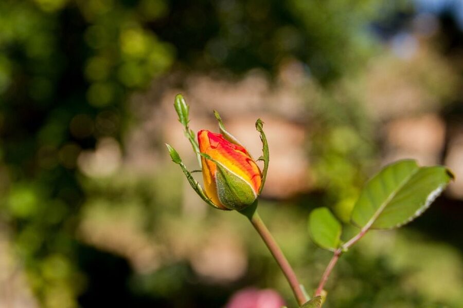 Granada: Alhambra Gardens, Generalife & Alcazaba Guided Tour - Is $58 a fair price?