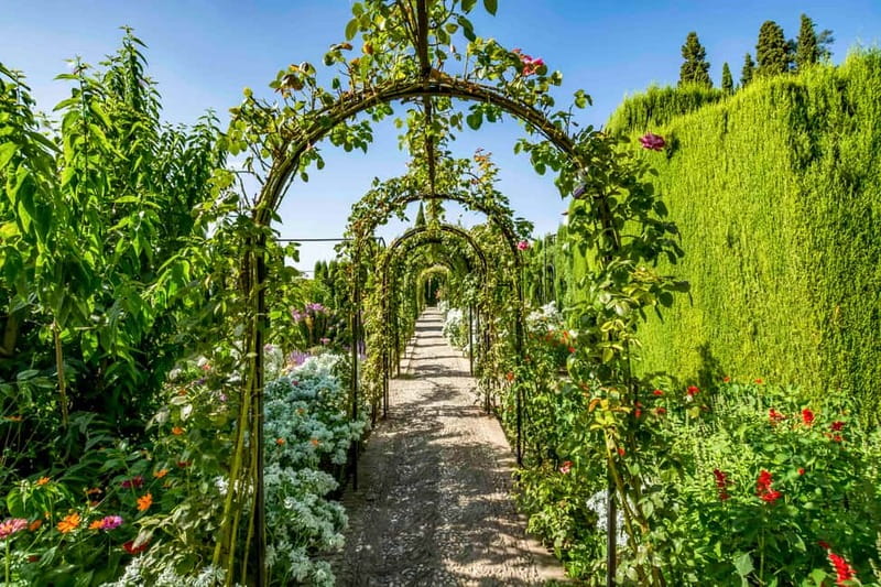 Granada: Alhambra & Gardens Tour w/Nasrid Palaces Option - The Nasrid Palaces: the tour’s main prize