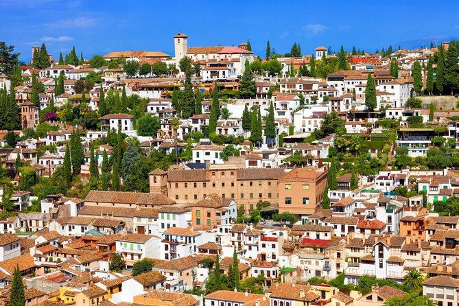 Granada and Albaicin: Wine and Tapas Tour - Key points to know before booking