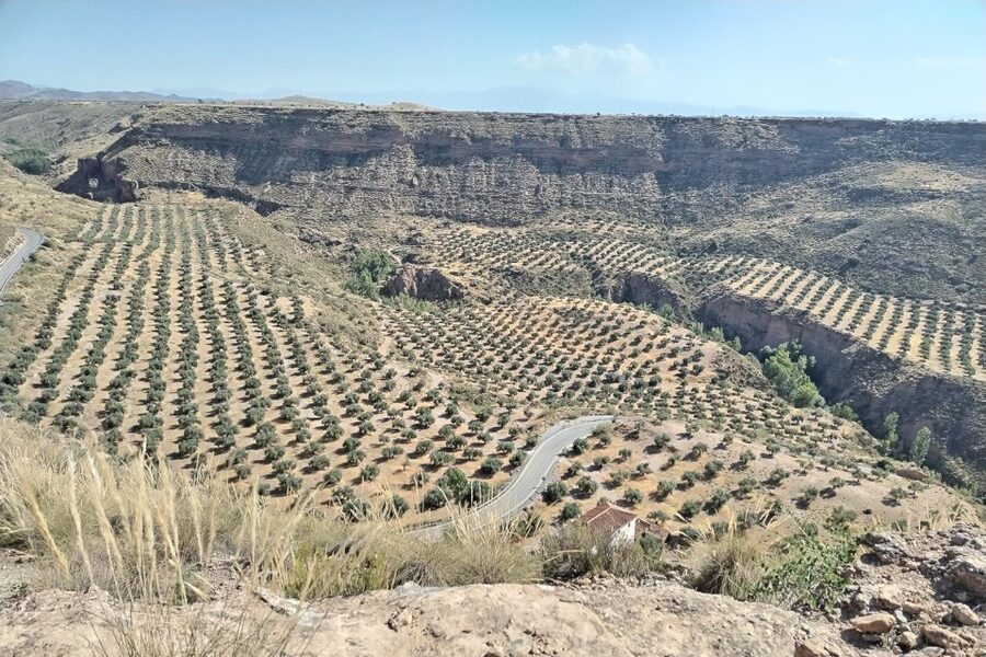 Granada: End of the World Viewpoints 4x4 Tour in the Geopark - Key points to know before you go