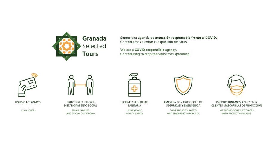 Granada: Fast-Track Alhambra & Nasrid Palaces Guided Tour - The Nasrid Palaces and the Courtyard of the Lions