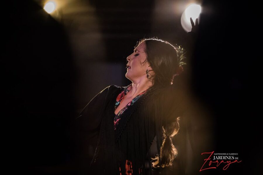 Granada: Flamenco Show in Albaycin - Jardines de Zoraya - Why this Albaycín flamenco show works so well