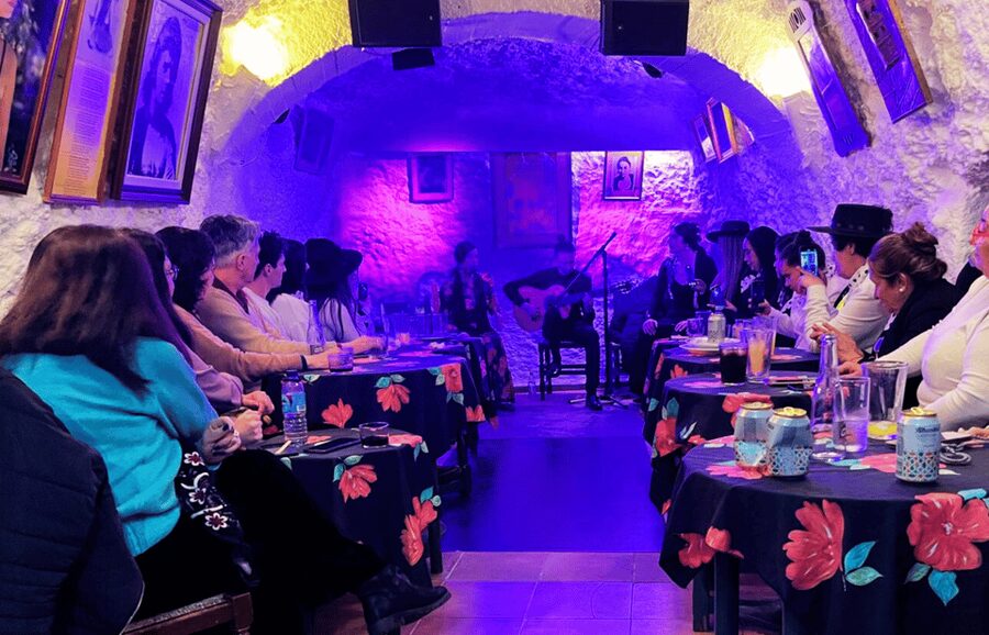 Granada: Flamenco Show in the Cave LA FARAONA - What happens during the one-hour performance
