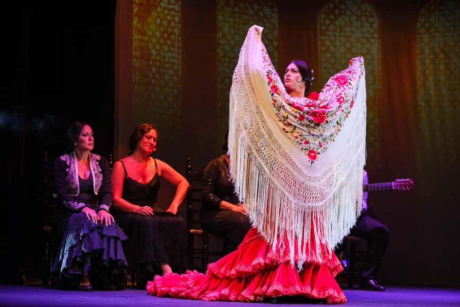 Granada: Flamenco Show "Sensaciones" at the Flamenco Theater Granada - Service, languages, and access