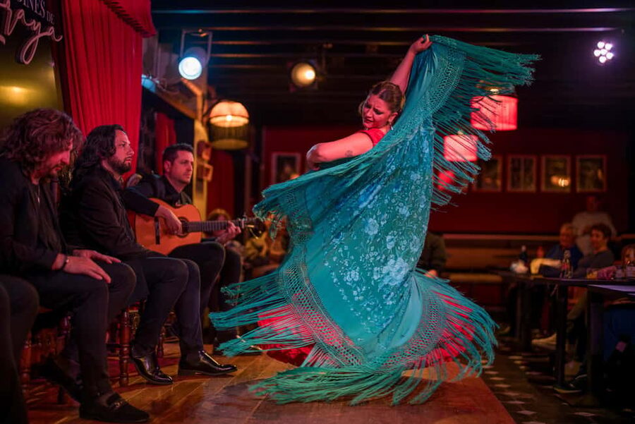 Granada: Flamenco Show with Dinner at Jardines de Zoraya - The flamenco show: guitar, voice, and movement