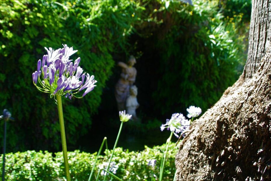 Granada: Gardens of Carmenes Guided Tour - Why Granada’s Carmenes are worth your time