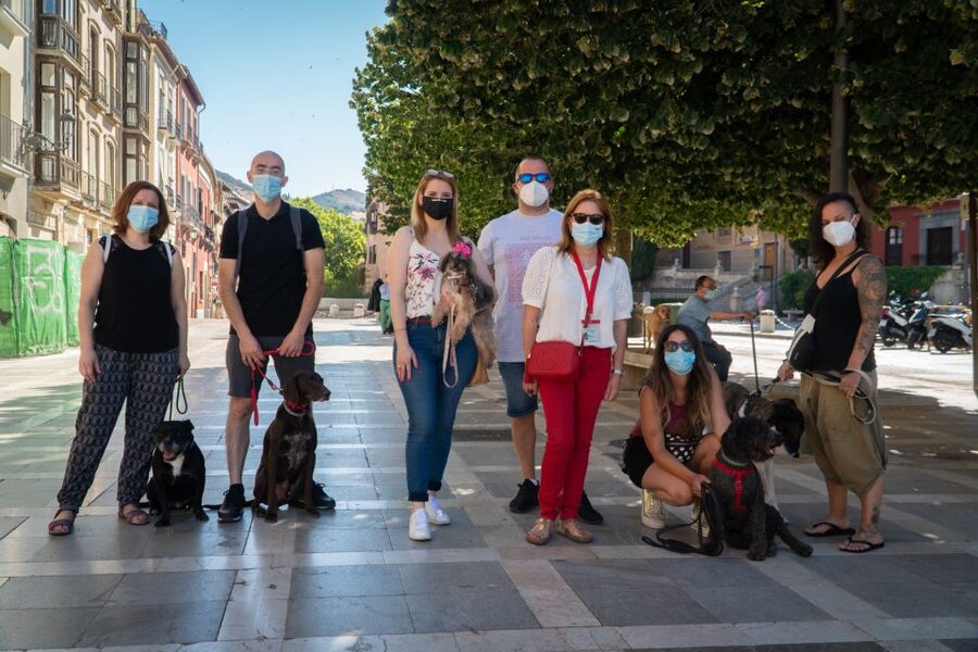 Granada: Guided Albaicín Visit with Pets - Why this Albaicín walk feels different