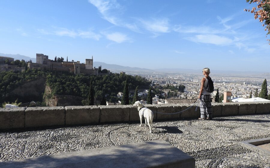 Granada: Guided Albaicín Visit with Pets - San Nicolás and the Alhambra view