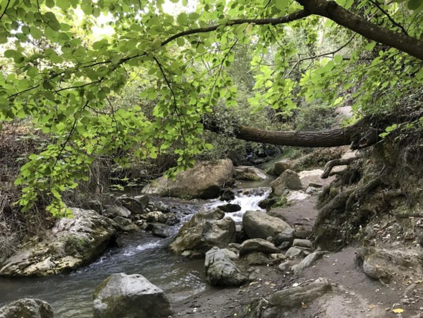 Granada: Guided Day Hike in Los Cahorros de Monachil - Following the Monachil River into the gorge