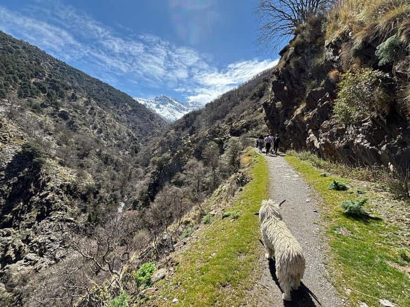 Granada: High Sierra Nevada Hiking Tour to 3000 Meters - Walking into the San Juan Valley