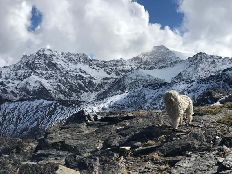 Granada: High Sierra Nevada Hiking Tour to 3000 Meters - What the equipment does and does not cover