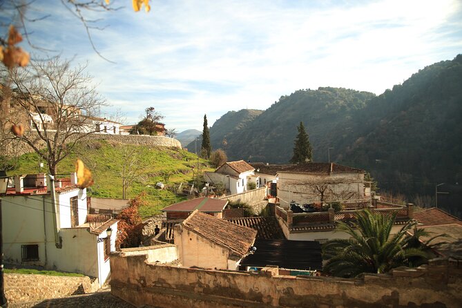 Granada Highlights Tour with Tapas Breaks by Electric Bike - The viewpoints are worth the climb