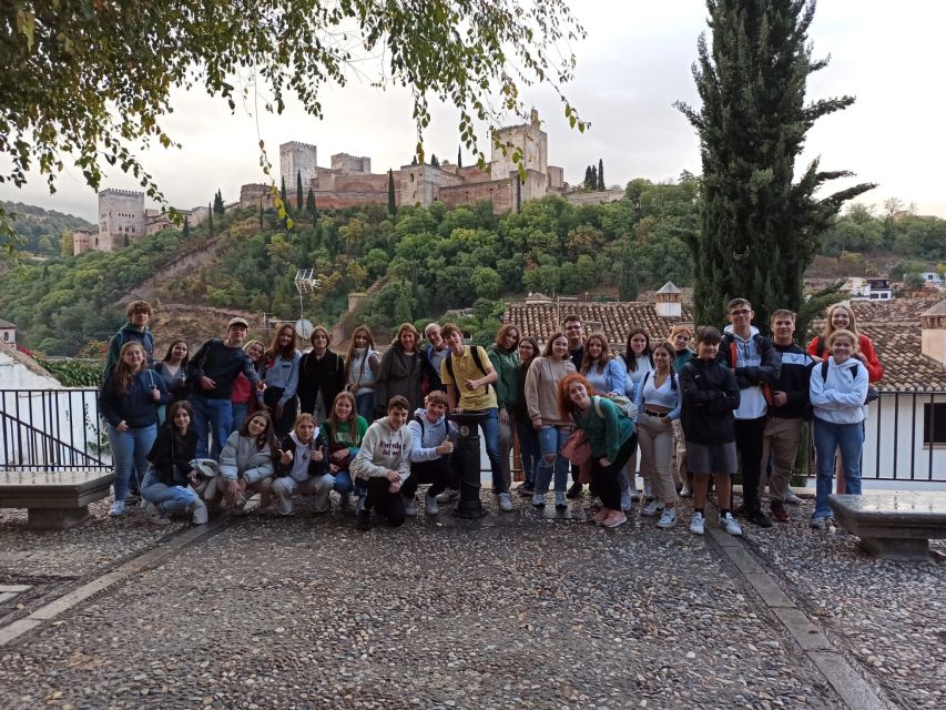 Granada: Historic Center and Lower Albaicin Walking Tour - Key points at a glance