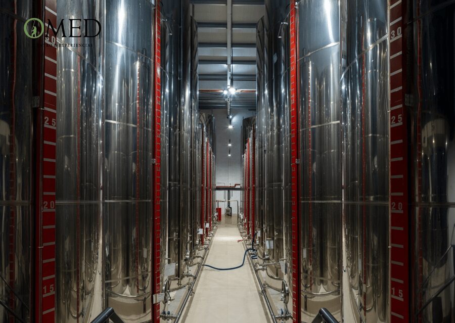 Granada in EVOO: Guided tour and unique sensorial tasting - Adding the olive grove tour