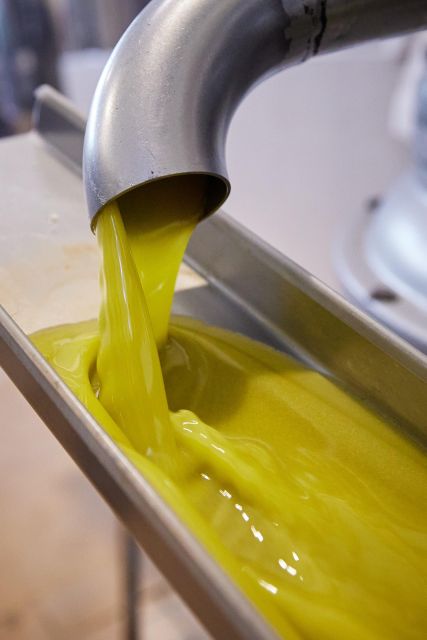 Granada in EVOO: Guided tour and unique sensorial tasting - Who will enjoy this tour most?