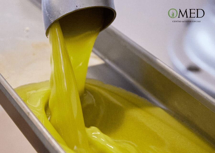 Granada in EVOO: Olive grove guided tour and sensory tasting - Should you book the OMED olive oil tour?
