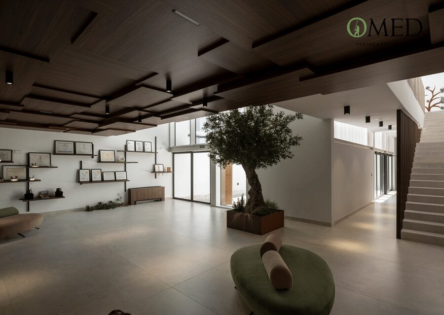 Granada in EVOO: Olive grove guided tour and sensory tasting - Inside the OMED olive mill