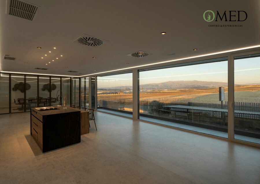Granada in EVOO: Olive grove guided tour and sensory tasting - Who should book this experience?