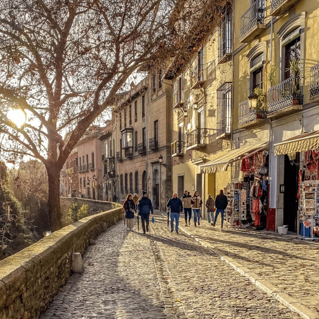 Granada in full: Albaicin & the Historic Centre - Who will get the most from this tour