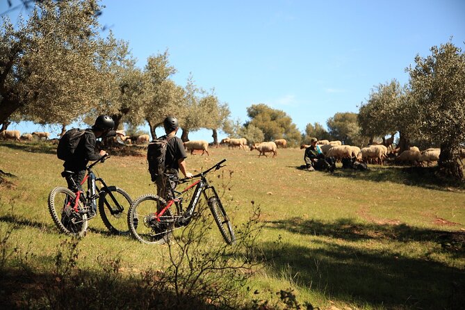 Granada: Nature, Wildlife and Authentic Villages E-bike Tour - Leaving Granada for the Sierra Nevada foothills