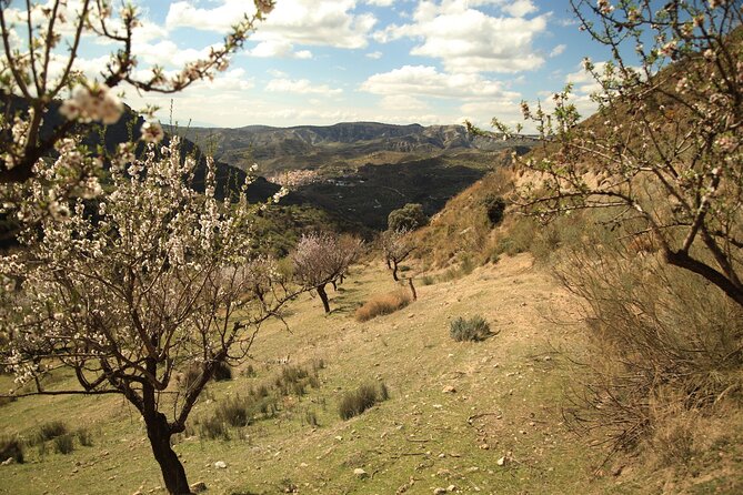 Granada: Nature, Wildlife and Authentic Villages E-bike Tour - The long route, lunch, and the value of your time