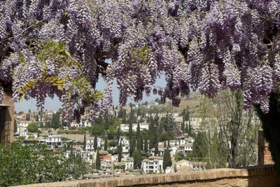Private Alhambra Tour + Nazaries Palaces (VIP)