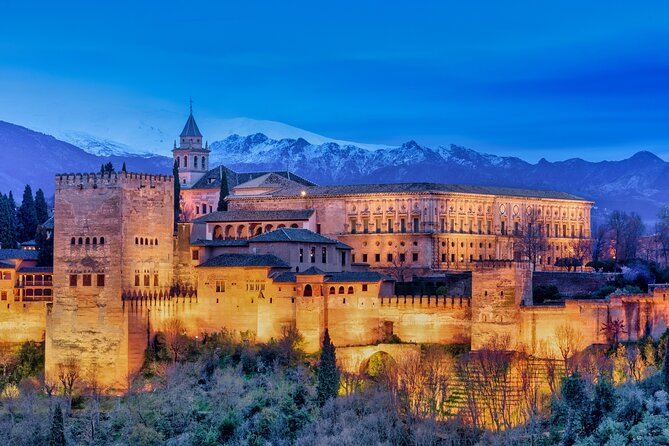 Granada : Private Alhambra Tour + Nazaries Palaces (VIP) - Ticket timing is the real risk