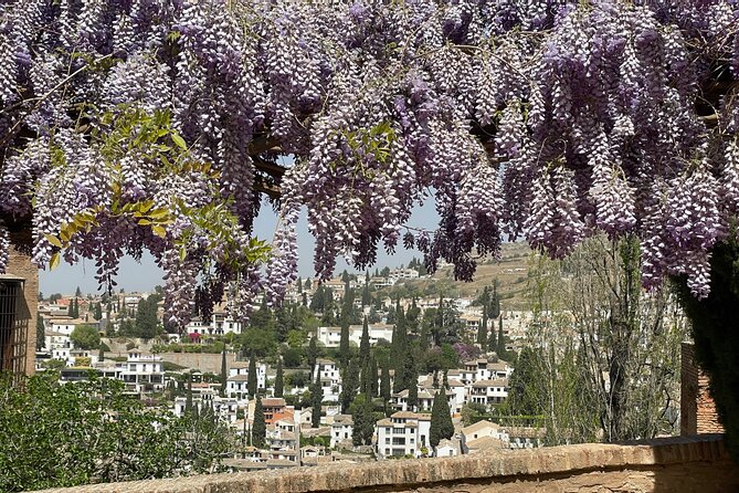 Granada : Private Alhambra Tour + Nazaries Palaces (VIP) - Generalife gardens: 90 minutes of views and water