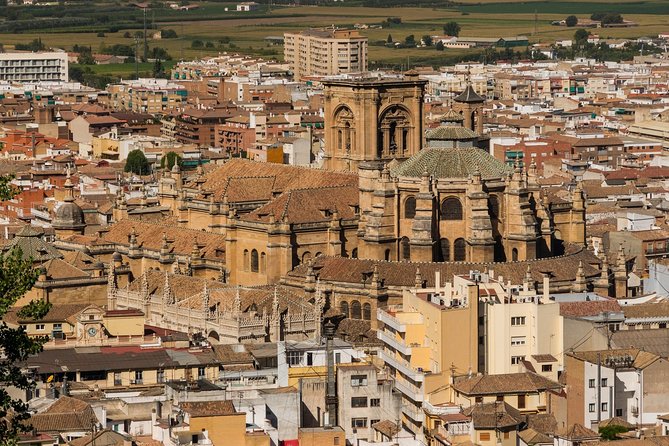 Granada: Royal Chapel and Granada Cathedral Guided Tour - Who should book this Granada tour?
