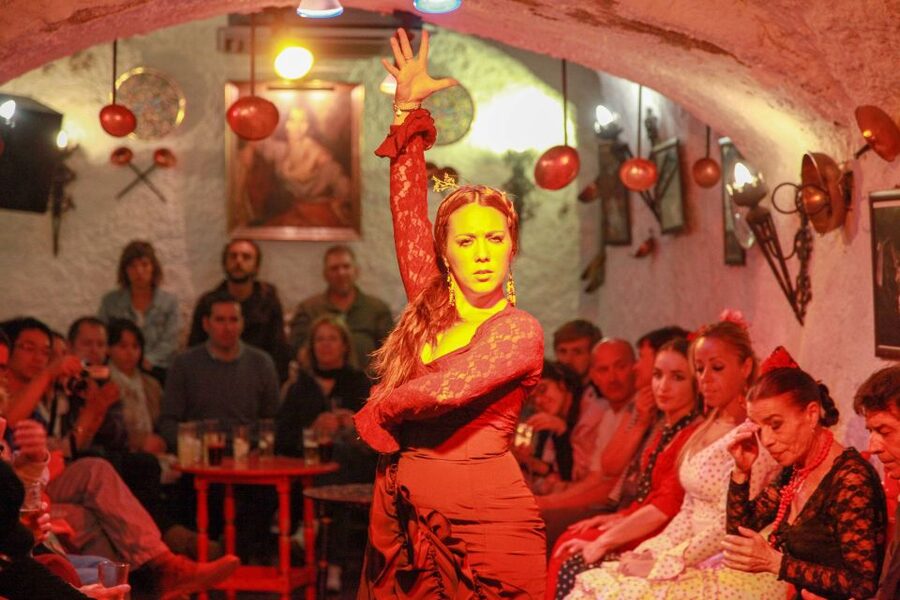 Granada: Sacromonte Caves Flamenco Show with Dinner - Practical details for a smoother evening
