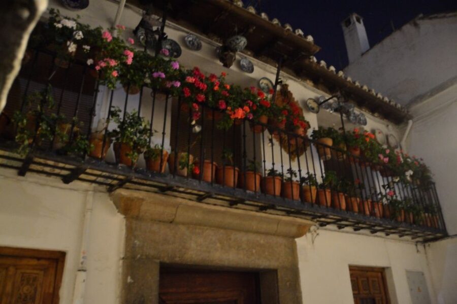 Granada: Sacromonte Caves Flamenco Show - What the one-hour flamenco show feels like