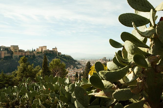 Granada: Sacromonte Private Tour - Starting at Plaza Nueva and heading uphill