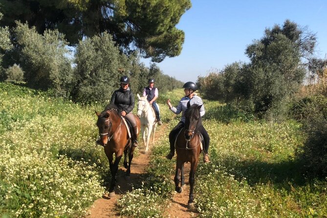 Granada & Sierra Nevada Horse Riding Tour - What to Wear and Bring
