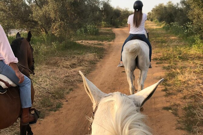 Granada & Sierra Nevada Horse Riding Tour - Fitness, Age, and Riding Ability
