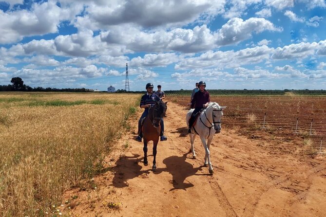 Granada & Sierra Nevada Horse Riding Tour - What Makes the Horses Part of the Experience