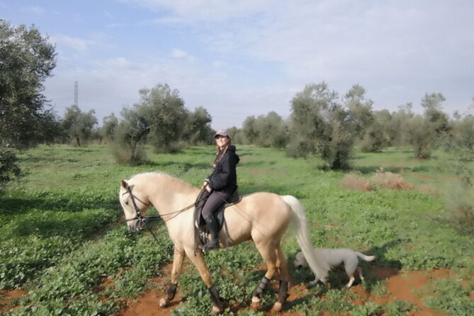 Granada & Sierra Nevada Horse Riding Tour - Getting to the Ranch from Granada