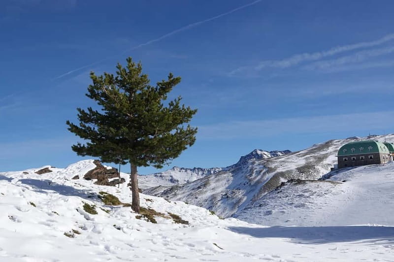 Granada: Sierra Nevada Safari Tour to 2500 m with a Drink - Genil River and the source of the high country