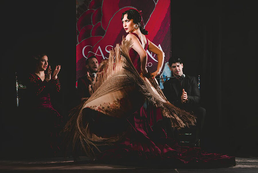Granada: Traditional Flamenco Show at Tablao Casa Ana - Casa Ana puts you close to the action