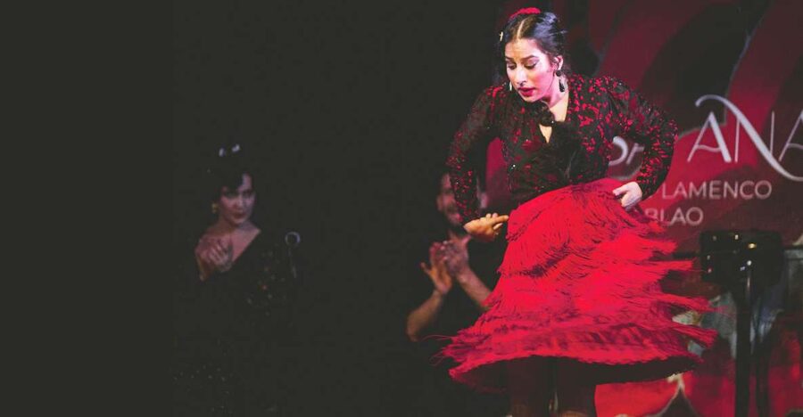 Granada: Traditional Flamenco Show at Tablao Casa Ana - Guitar, singing, and dancing each bring something different
