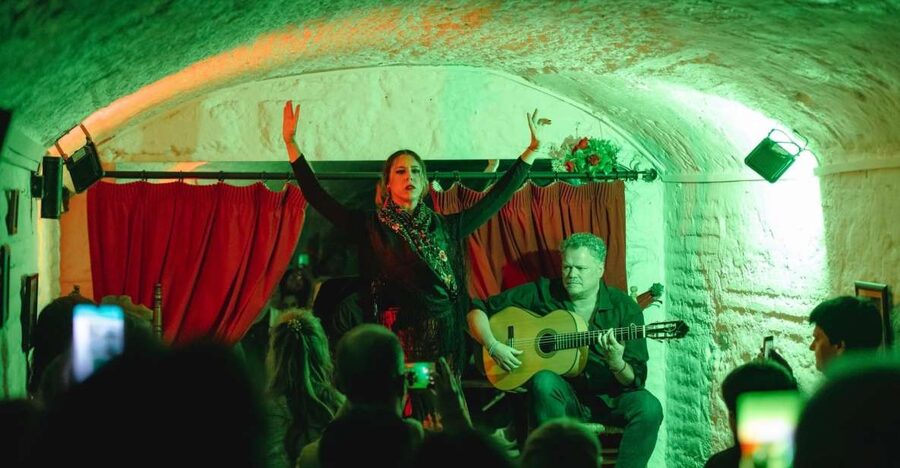 Granada: Traditional Flamenco Show in a Cave Entry Ticket - Key points before you book