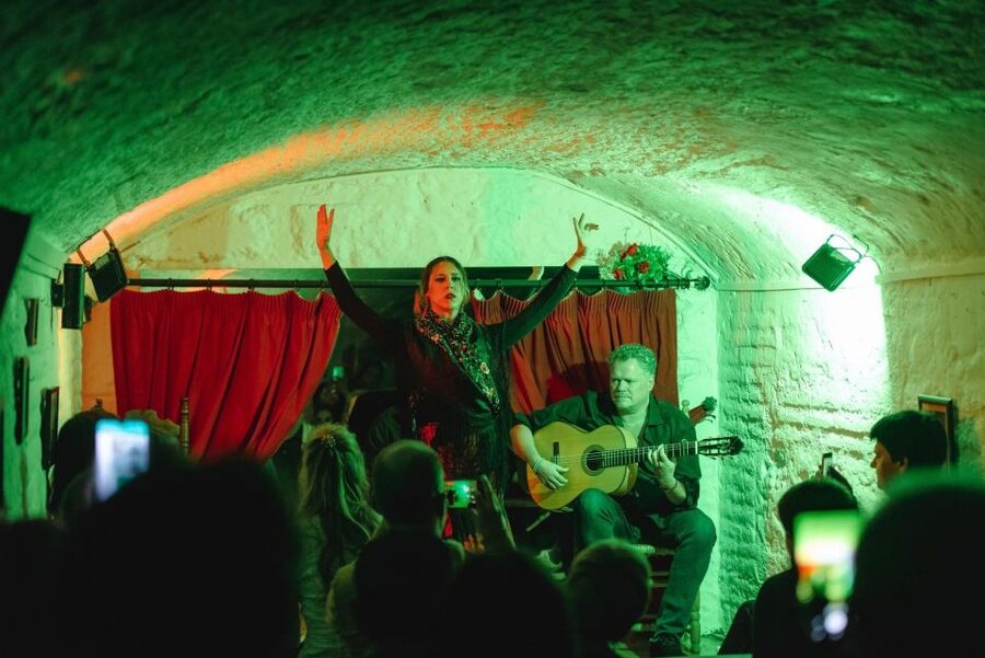 Granada: Traditional Flamenco Show in a Cave Entry Ticket - What happens during the one-hour show