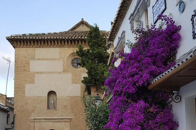 Granada Walking Tour: Albaicin and Sacromonte Quarters - The guide can shape the whole evening