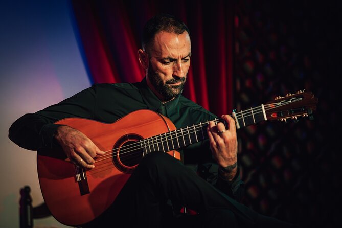 Grenada: Flamenco Palace, the best show in the center - Who will enjoy this show most?
