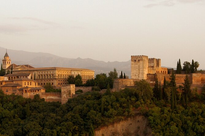 Guided tour of Alhambra and Generalife with Nasrid Palaces - Timing, meeting point, and group arrangements