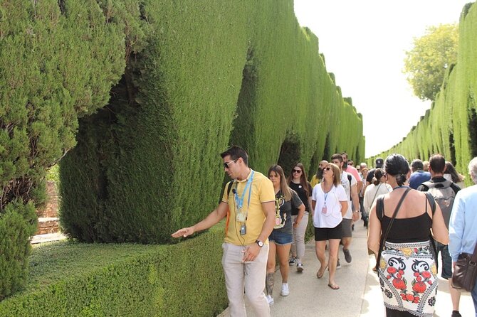 Guided visit to the Alhambra, Nasrid Palaces and Generalife - Nasrid Palaces: the artistic heart of the visit