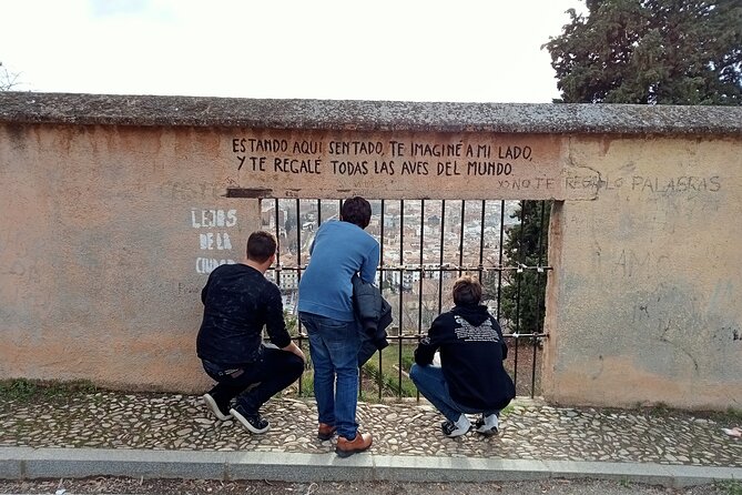 Guided Walking Tour with Panoramic Views and Terraces of Granada - Granada from above in a two-hour walk