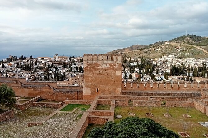Guided Walking Tour with Panoramic Views and Terraces of Granada - The cathedral view from a hotel